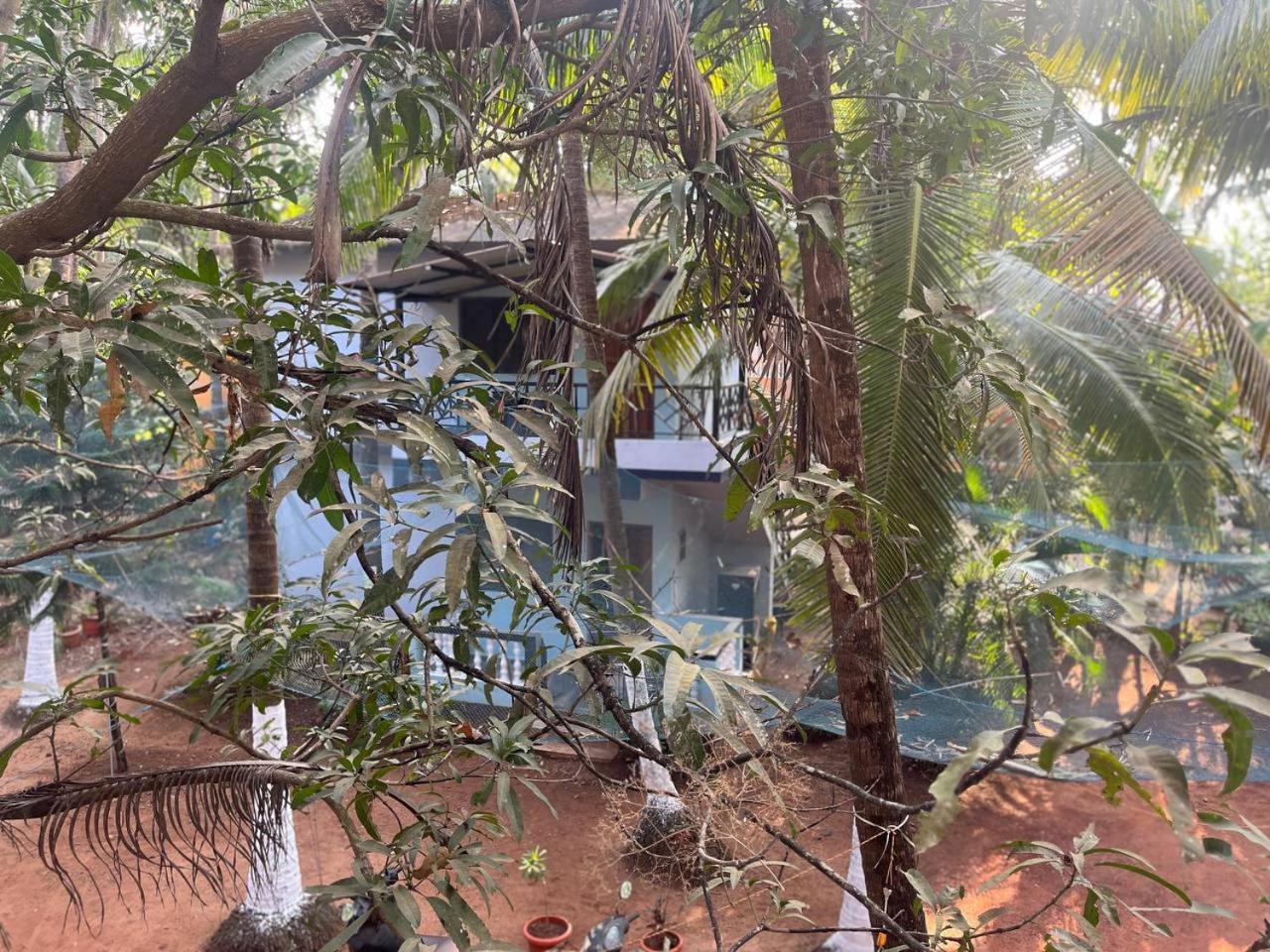 Tender Coconut Morjim Exterior photo