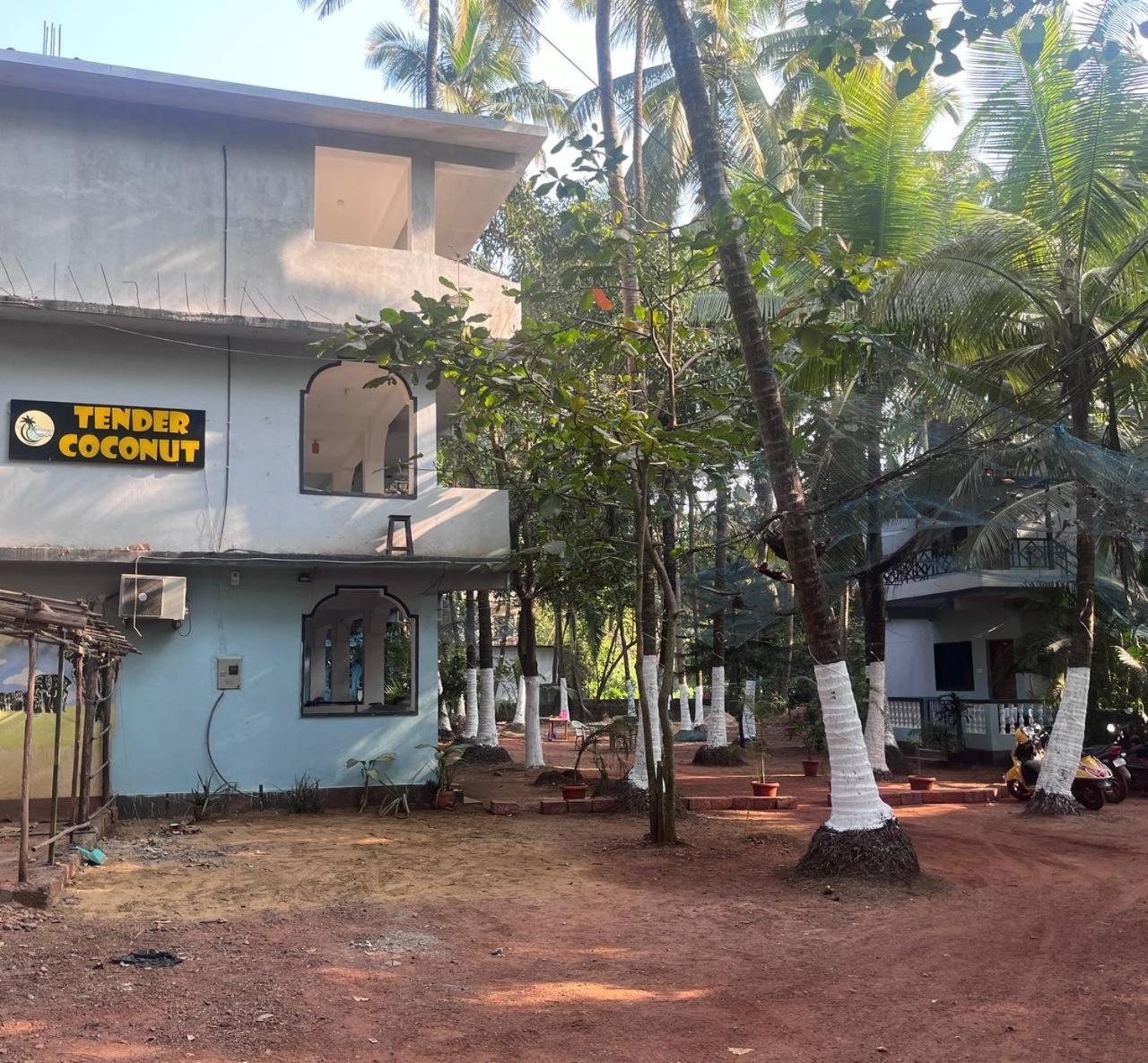Tender Coconut Morjim Exterior photo